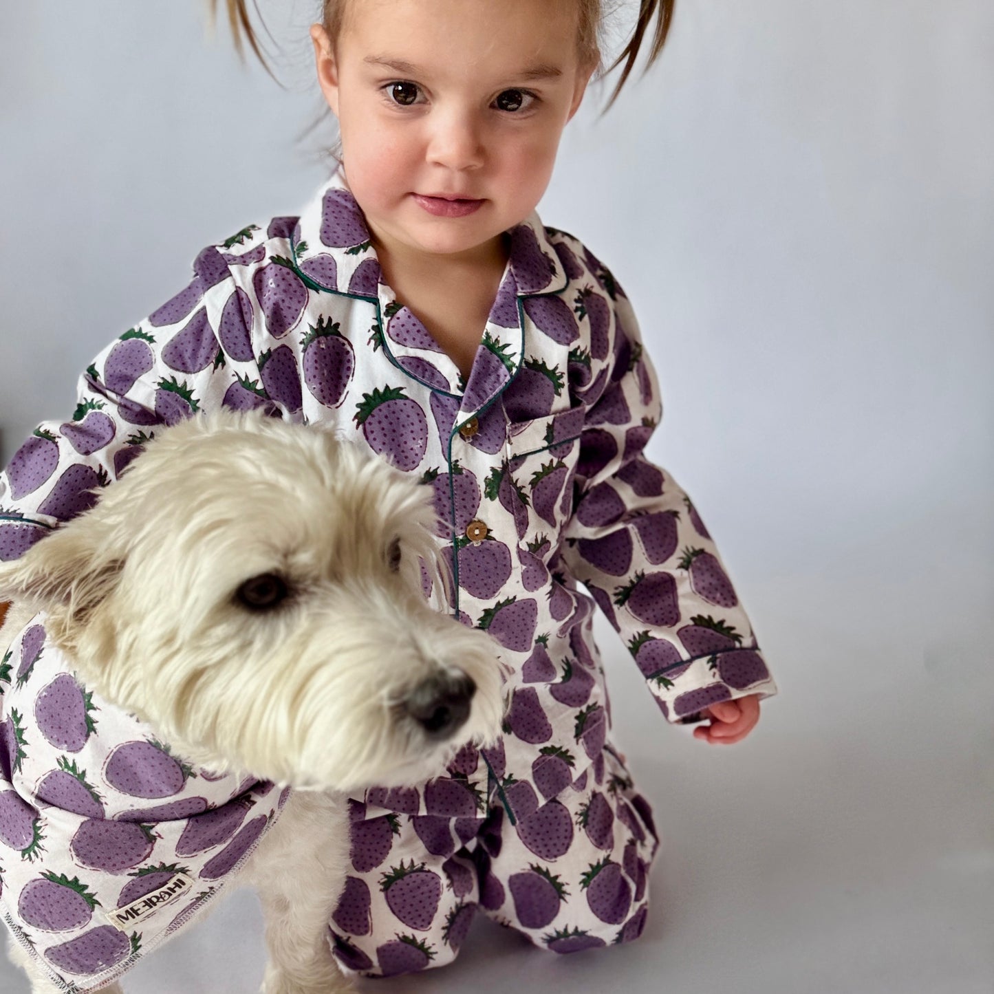 Reversible Matching Pet Scarf - Dog Bandana