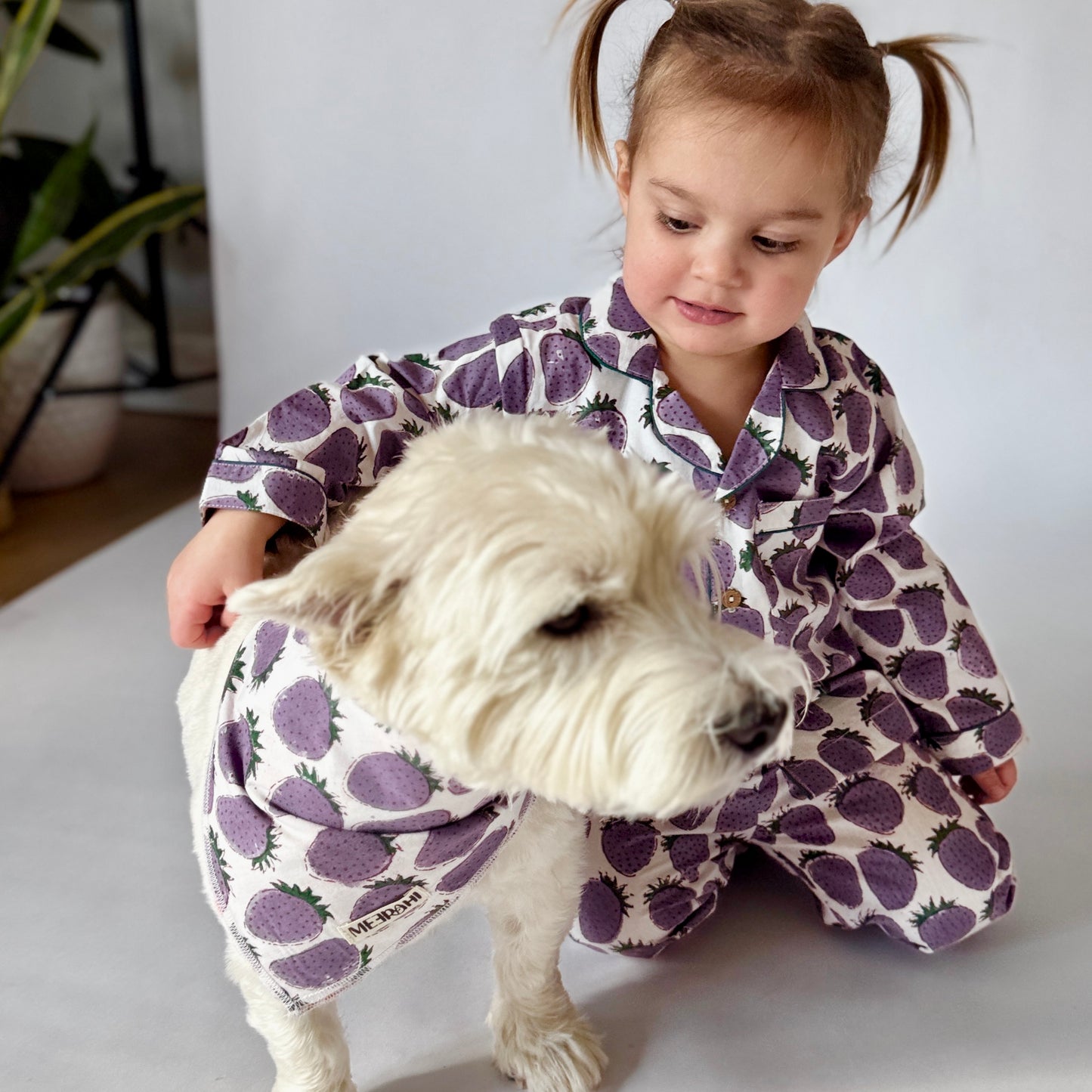 Reversible Matching Pet Scarf - Dog Bandana