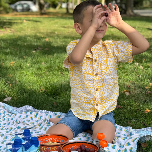 Cotton summer shirt for toddler boys