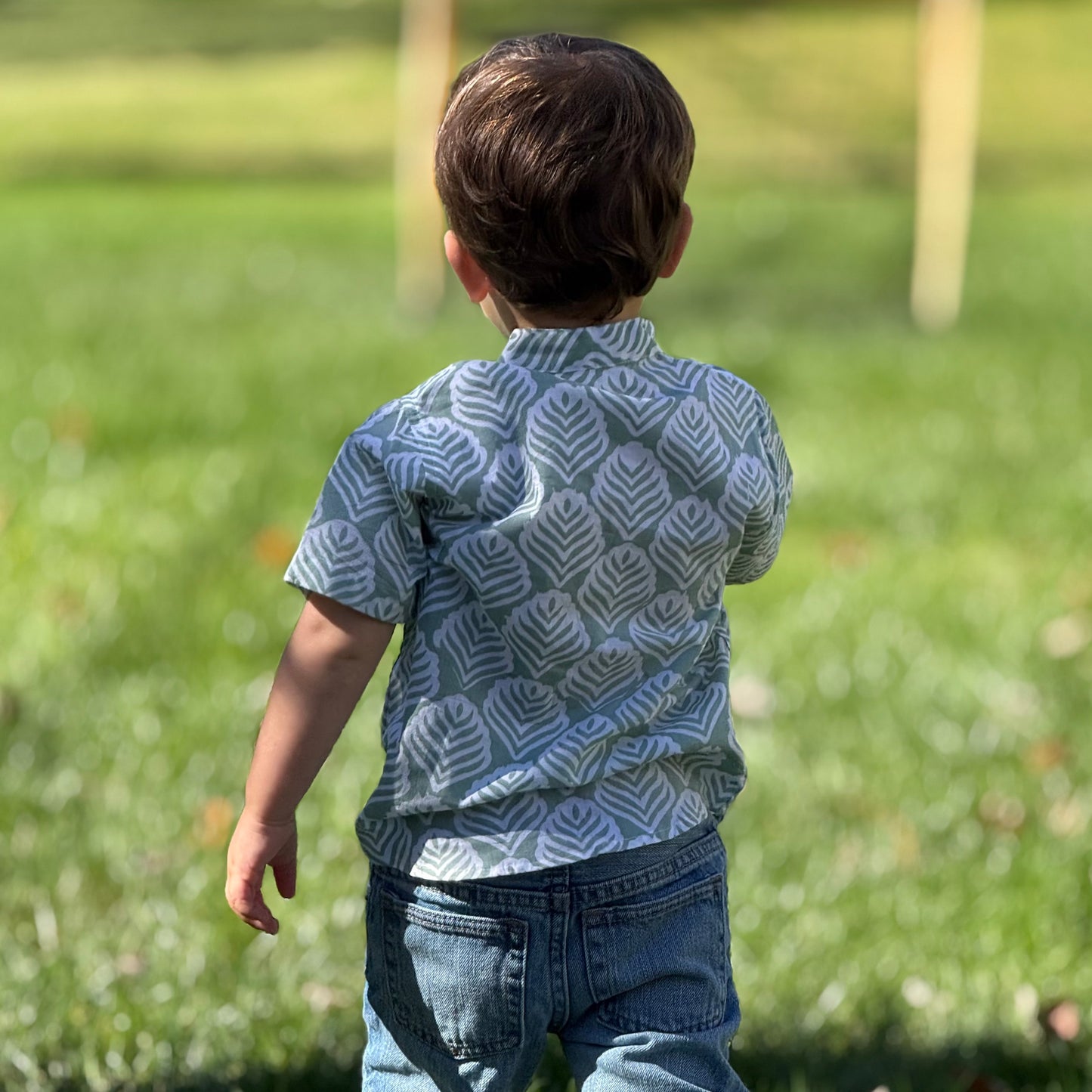 Cotton summer shirt for boys