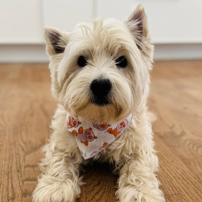 Reversible Matching Pet Scarf - Dog Bandana