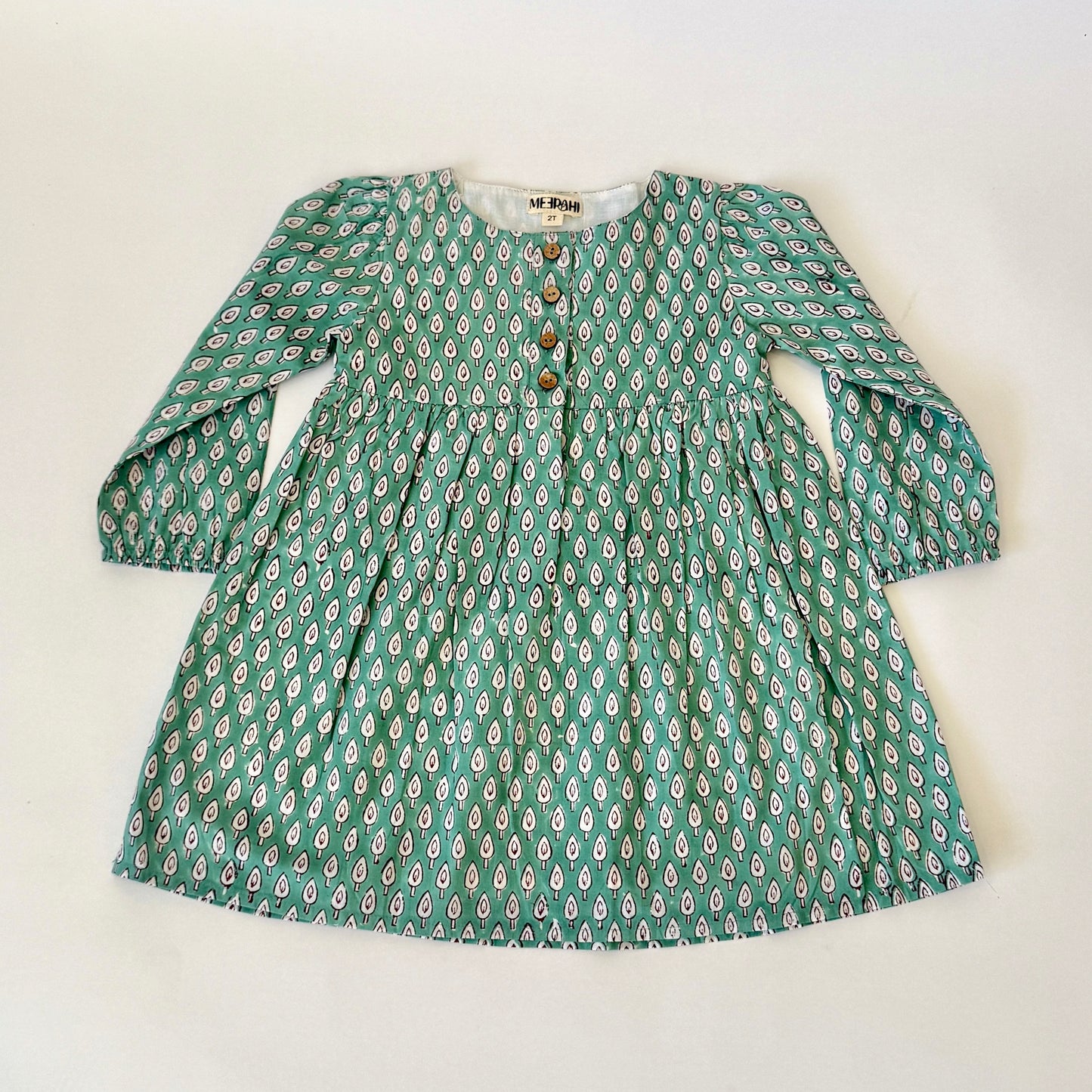 Fall Front-Opening Green Petal Print Dress for Girls